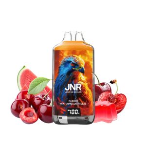 PUFF JNR FALCON X 28K CHERRY WATERMELON FREEZE