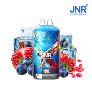 PUFF JNR FALCON X 28K BLUEBERRY POMEGRANATE ICE